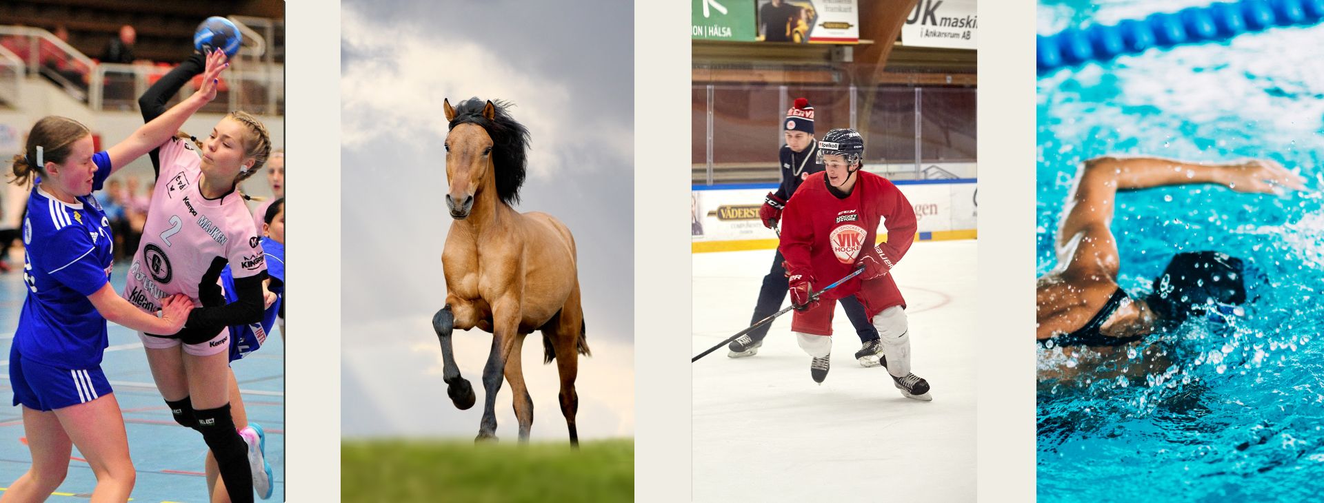Profiler som finns på gymnasiet, handboll, ridning, ishockey och simning.
