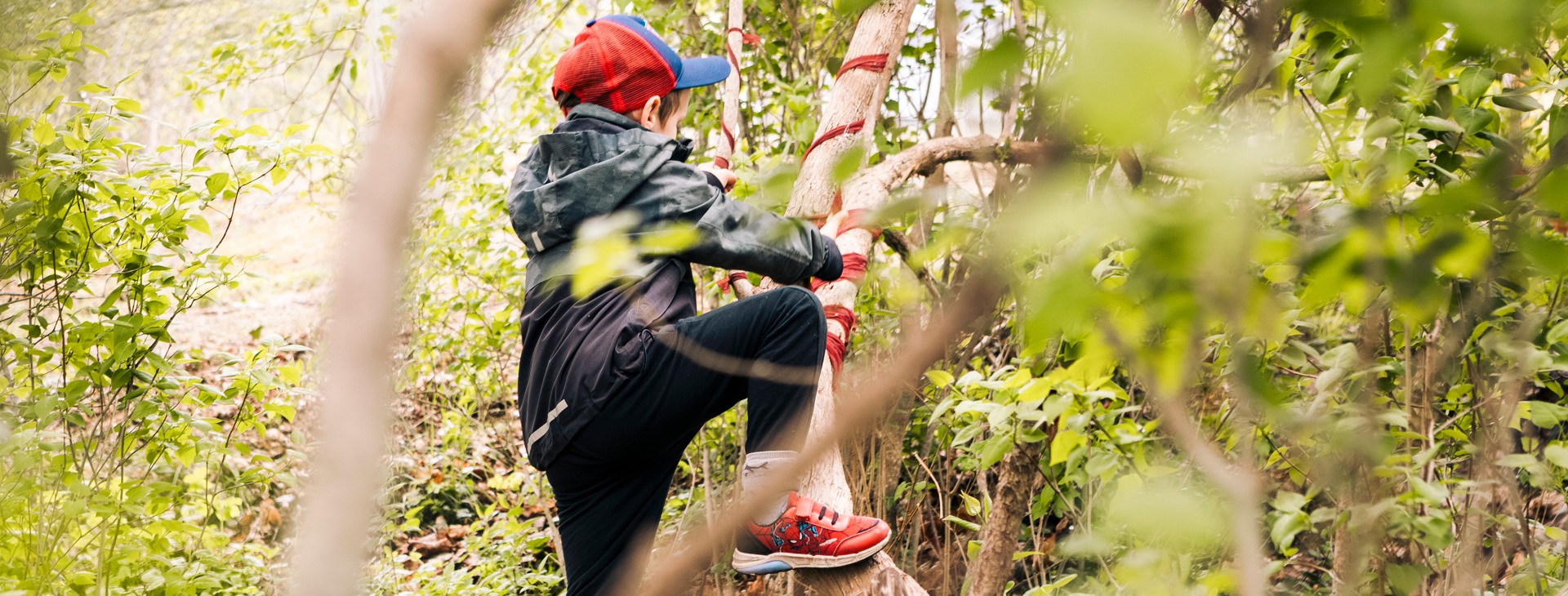 Barn som klättrar i träd.