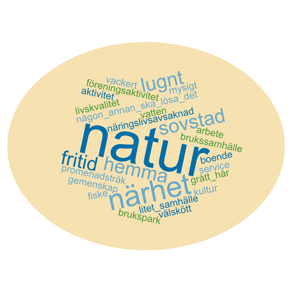 Ordmoln från frågan "Vad kännetecknar orten för dig idag?"