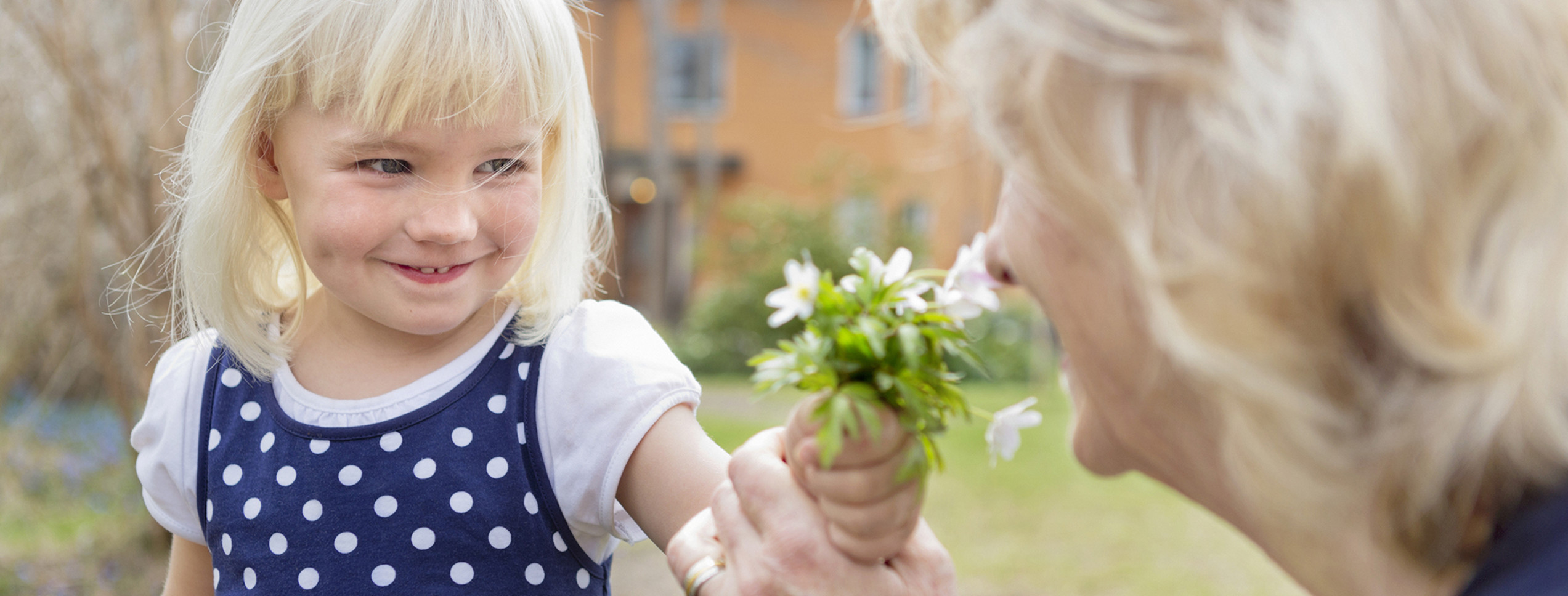 Barn som ger vitsippor till sin farmor.