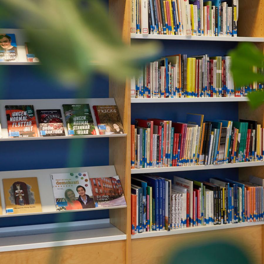 Bibliotek, med hyllor av böcker.