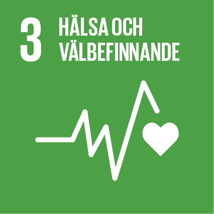 Agenda 2030-mål 3 Hälsa och välbefinnande
