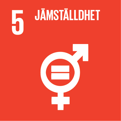 Agenda 2030-mål 5 Jämställdhet