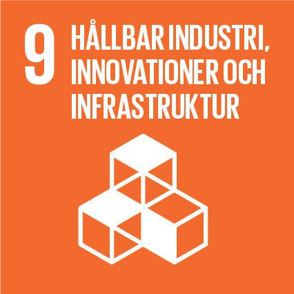Agenda 2030-mål 9 Hållbar industri, innovationer och infrastruktur