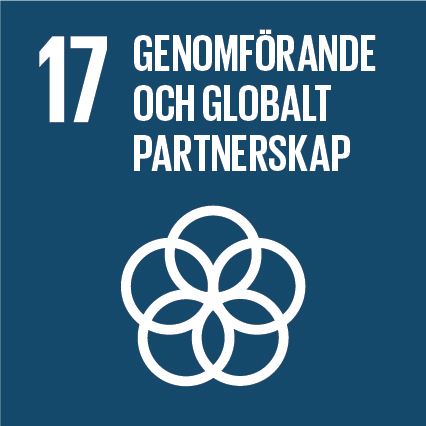 Agenda 2030-mål 17 Genomförande och globalt partnerskap