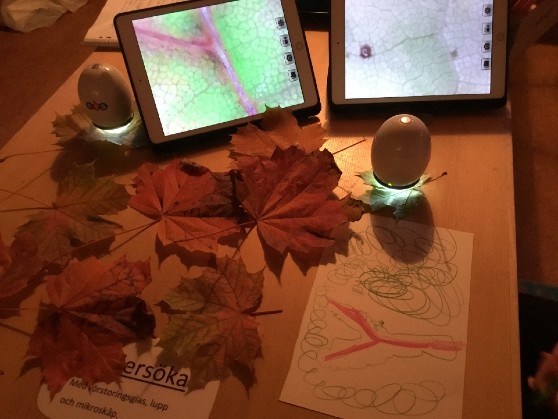 Förskolan Gunnebo interiör Pedagogisk miljö